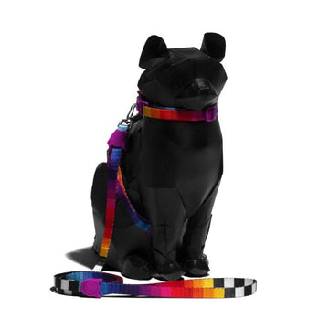 Petsleisure Pet Collars & Harnesses